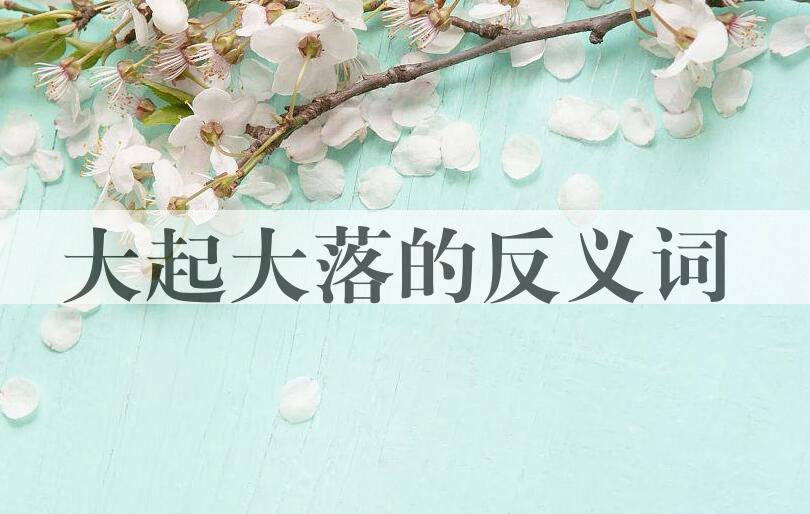 用大起大落造句