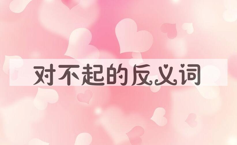 用对不起造句