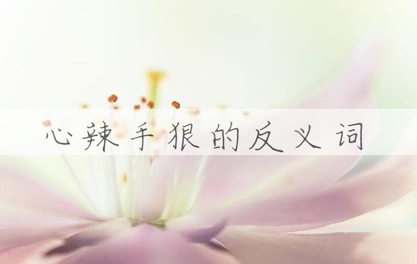 用心辣手狠造句