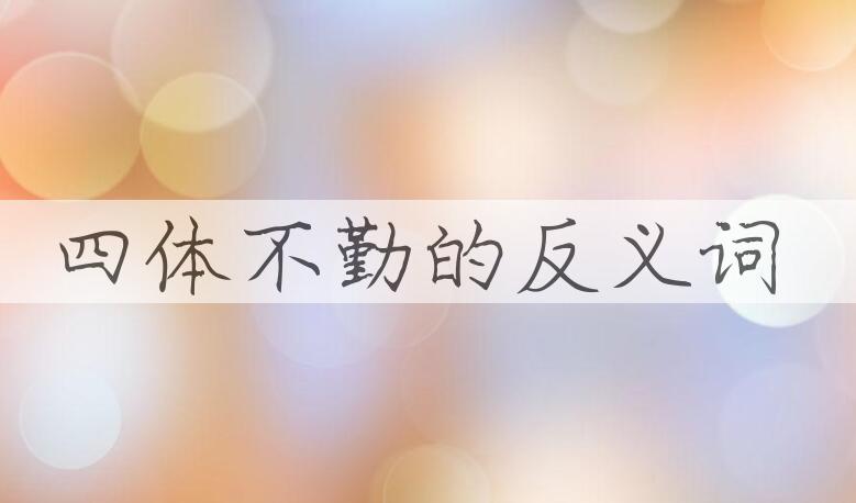 用四体不勤造句
