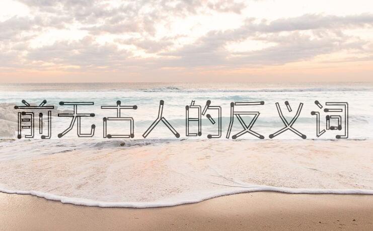 用前无古人造句