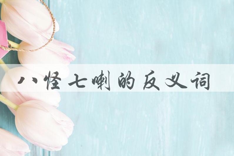 用八怪七喇造句