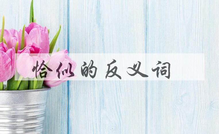 用恰似造句