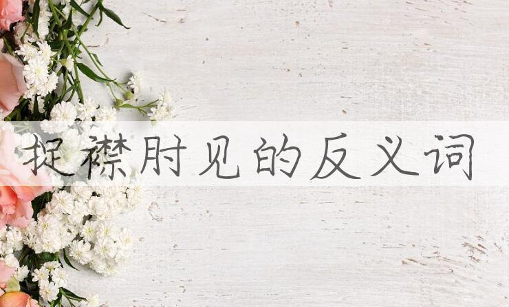 用捉襟肘见造句