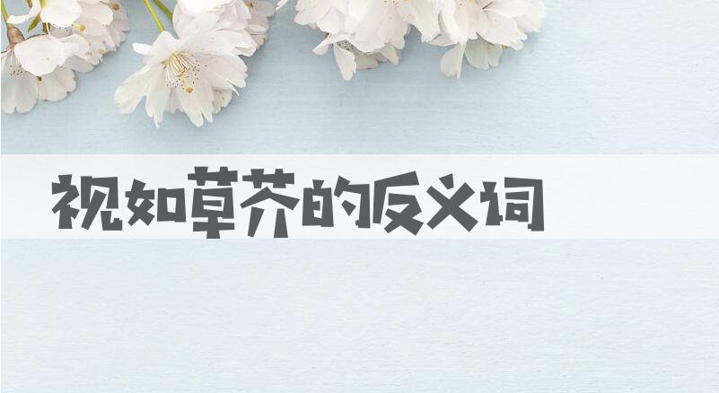 用视如草芥造句