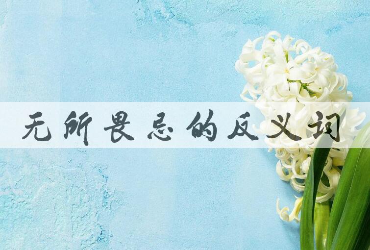 用无所畏忌造句