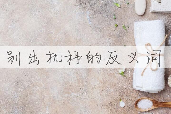 用别出机杼造句