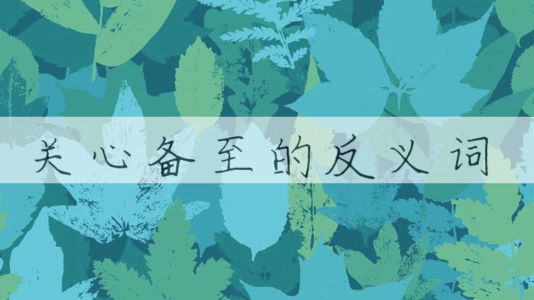 用关心备至造句