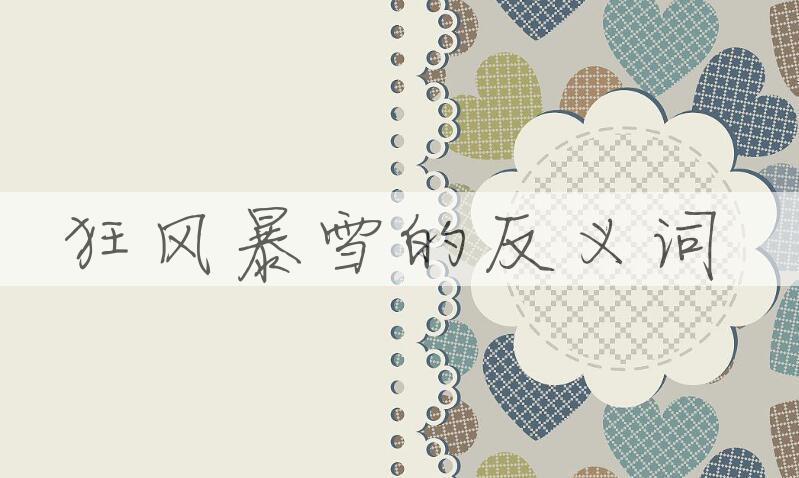 用狂风暴雪造句