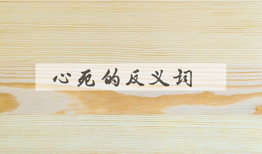 用心死造句
