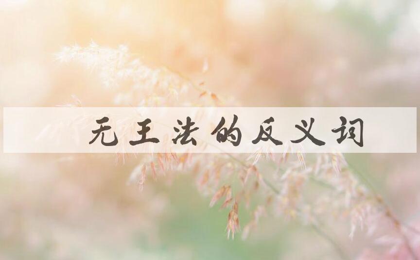 用目无王法造句