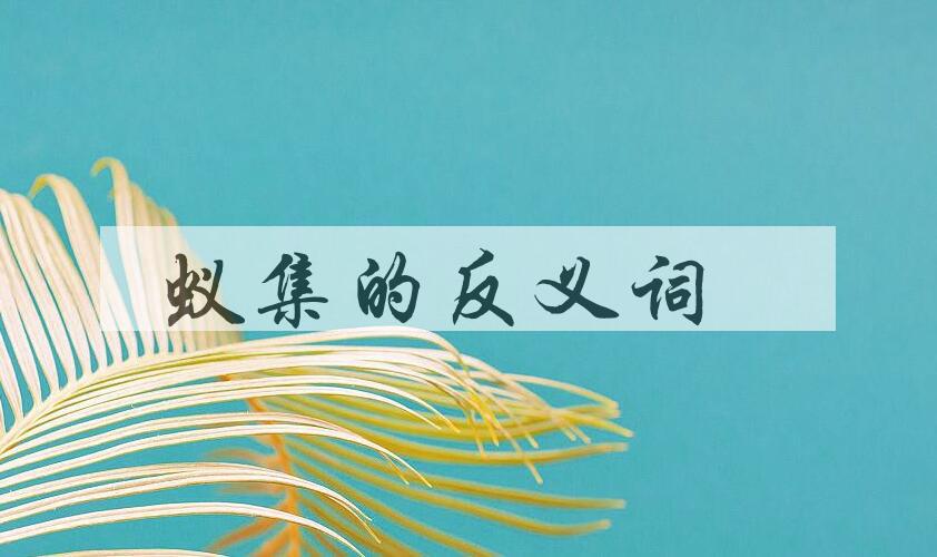 用蚁集造句