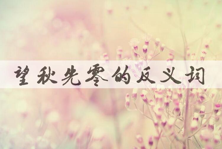 用望秋先零造句