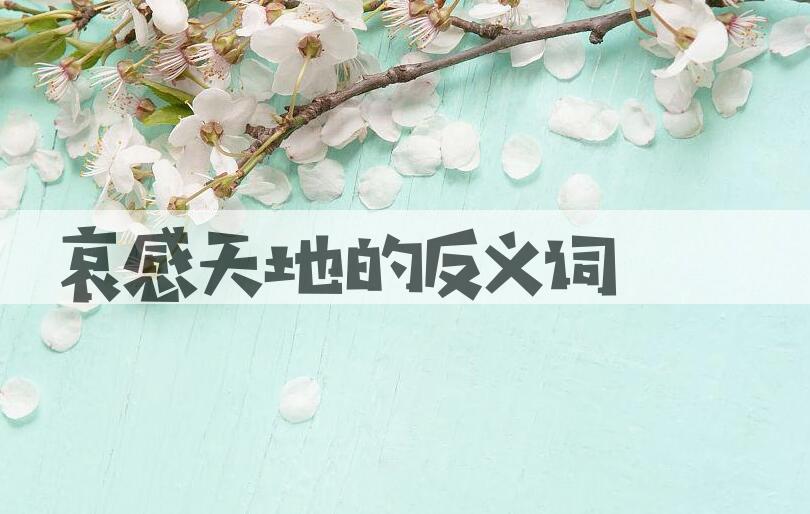 用哀感天地造句