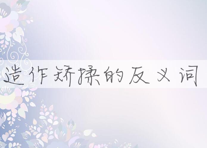 用造作矫揉造句