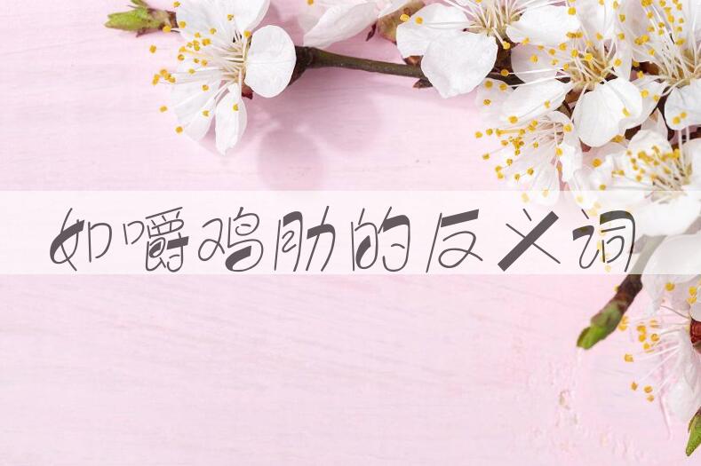 用如嚼鸡肋造句