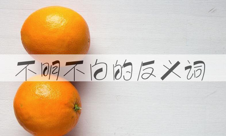 用不明不白造句