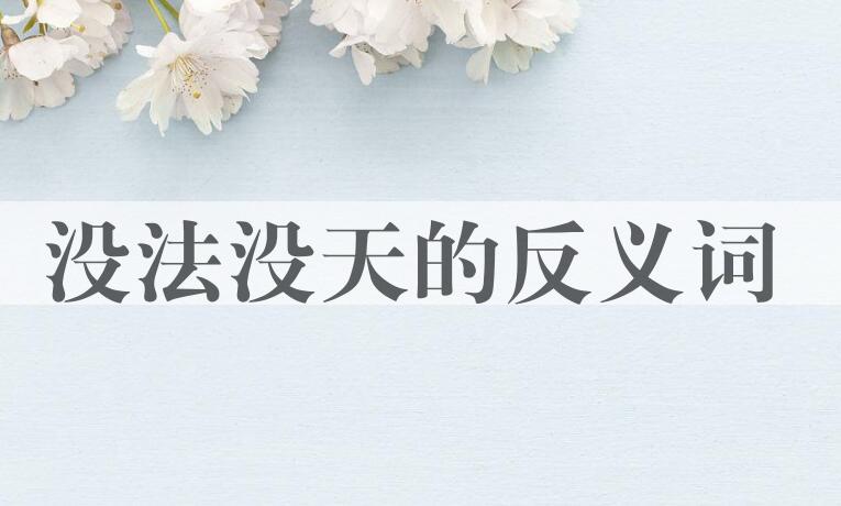 用没法没天造句