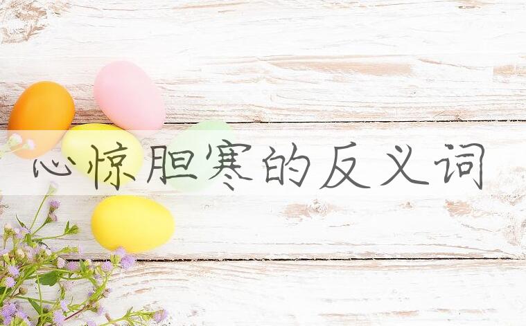 用心惊胆寒造句