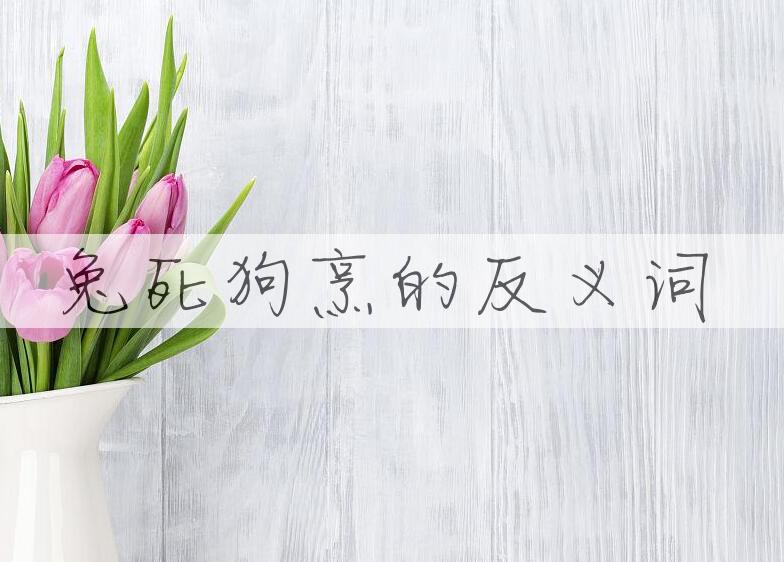 用兔死狗烹造句