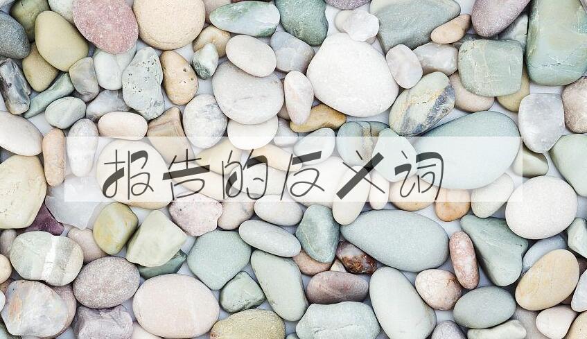 用报告造句