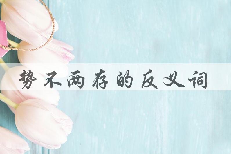 用势不两存造句