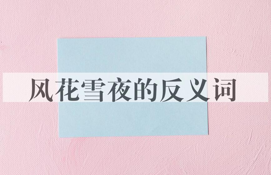 用风花雪夜造句