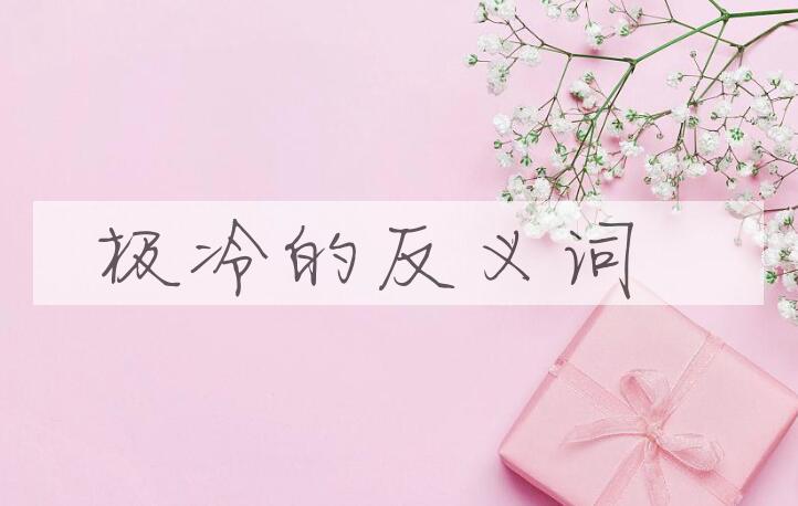 用极冷造句