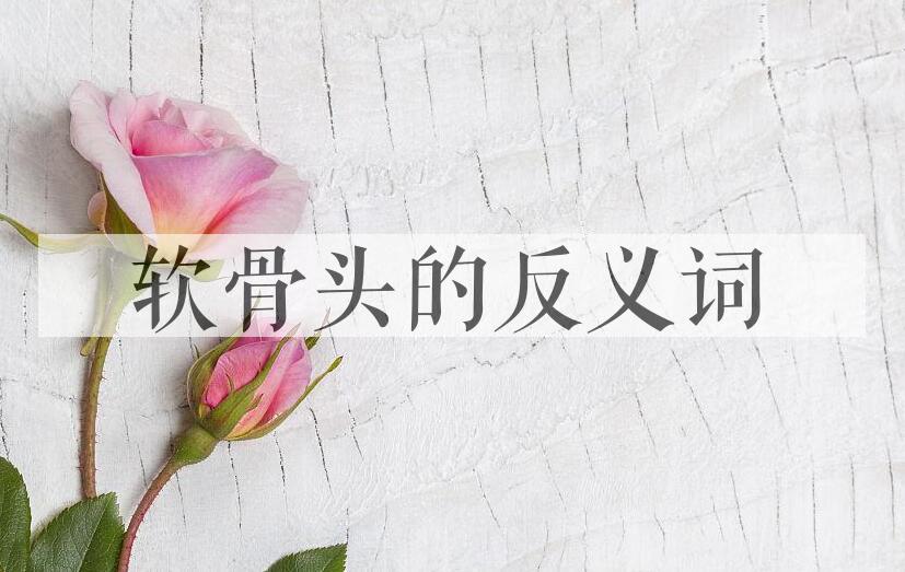 用软骨头造句