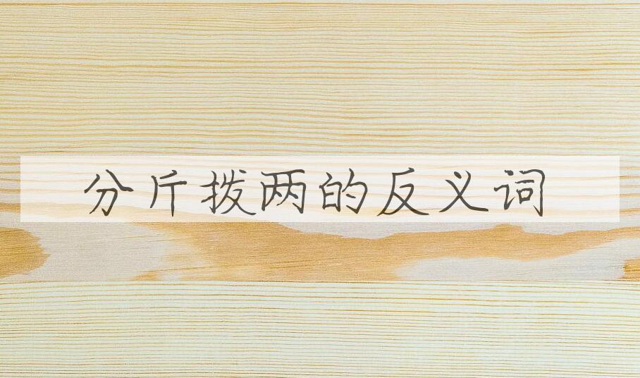 用分斤拨两造句