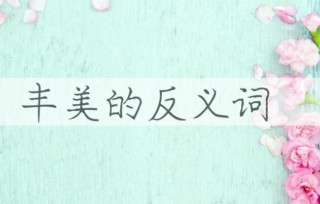 用丰美造句