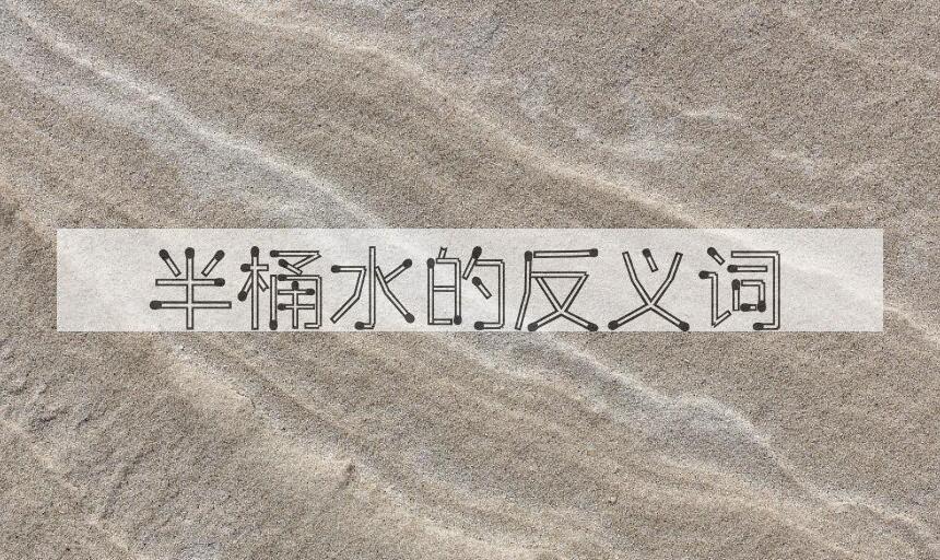 用半桶水造句