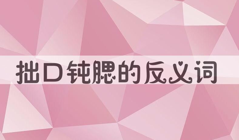 用拙口钝腮造句