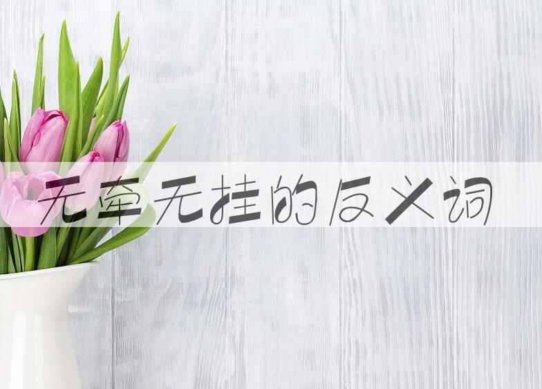 用无牵无挂造句