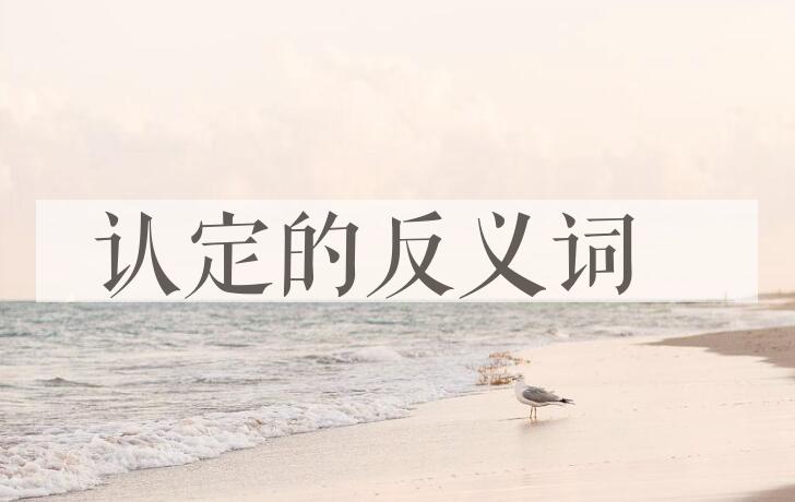 用认定造句