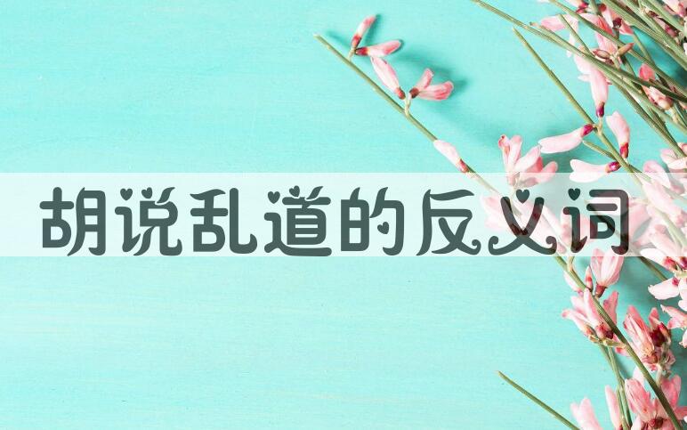 用胡说乱道造句
