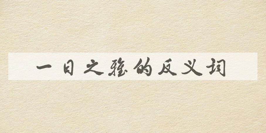 用一日之雅造句