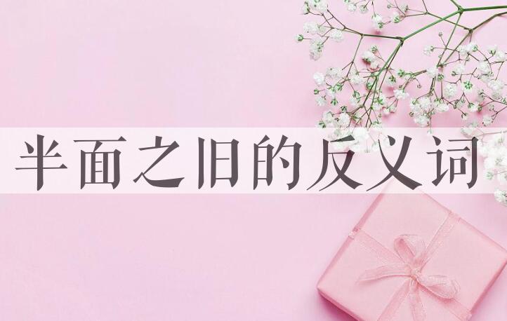 用半面之旧造句