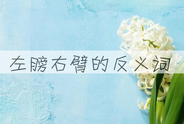 用左膀右臂造句