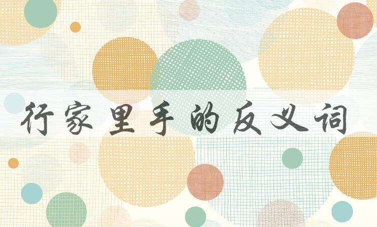 用行家里手造句