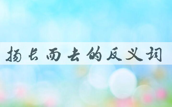 用扬长而去造句