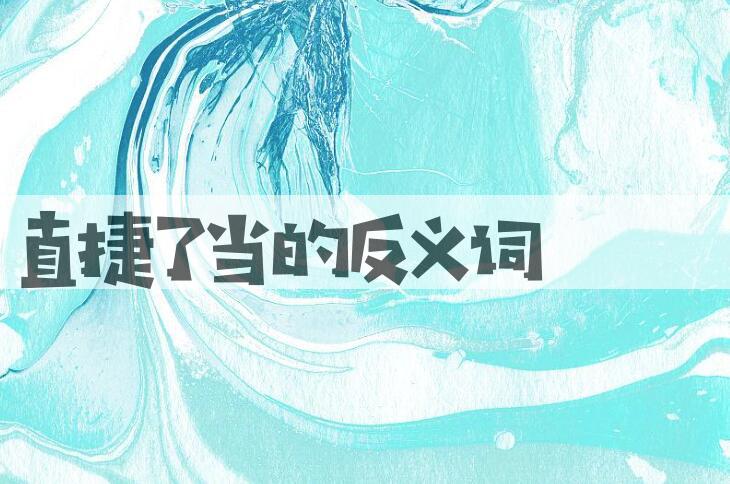 用直捷了当造句