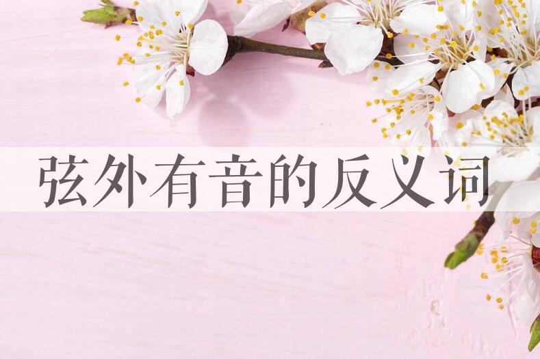 用弦外有音造句