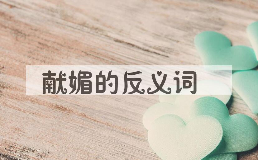 用献媚造句