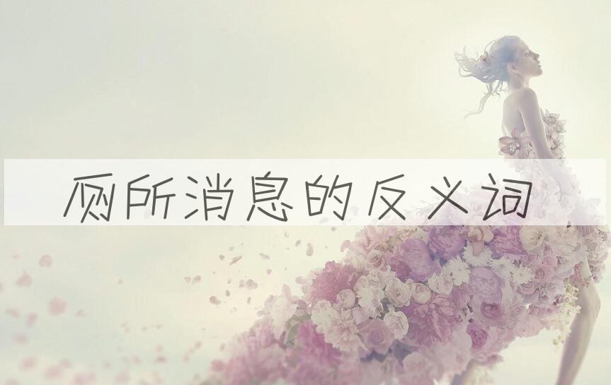 用厕所消息造句