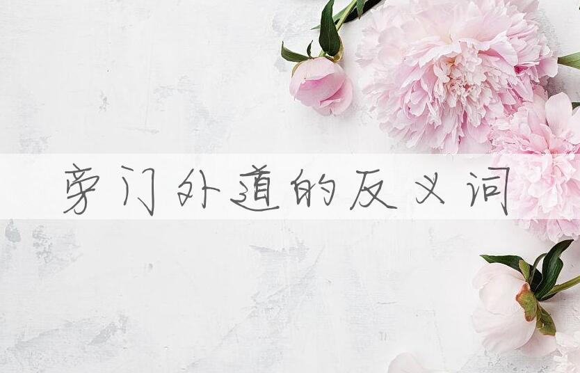 用旁门外道造句