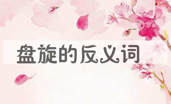 用盘旋造句