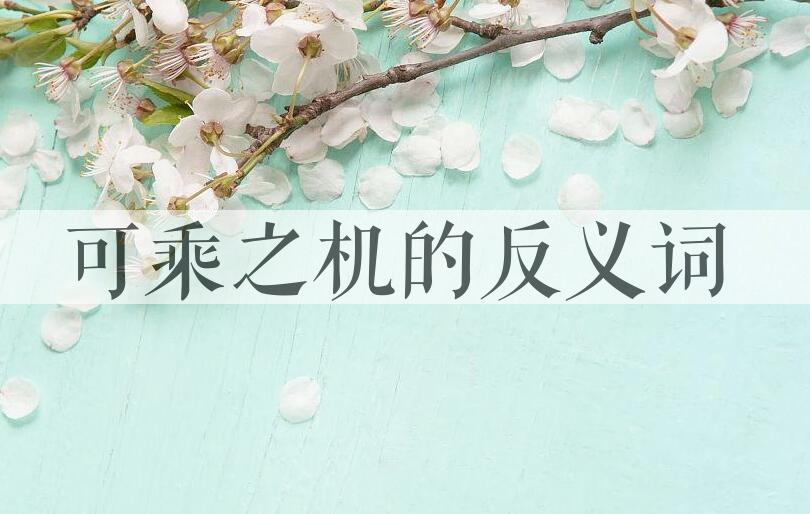 用可乘之机造句
