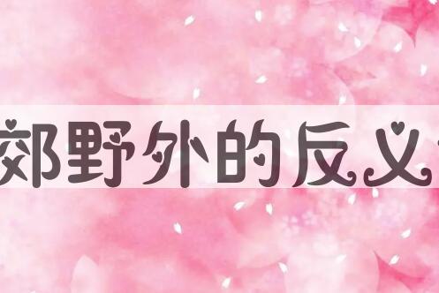 用荒郊野外造句