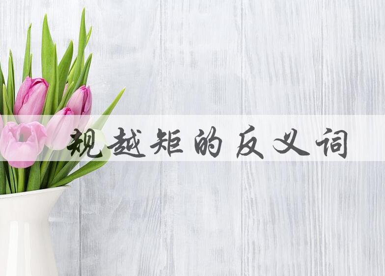 用偭规越矩造句